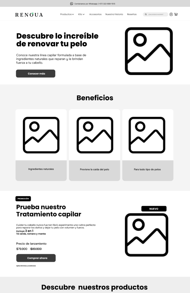 wireframe renoua